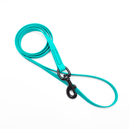 Biothane Leash 4ft