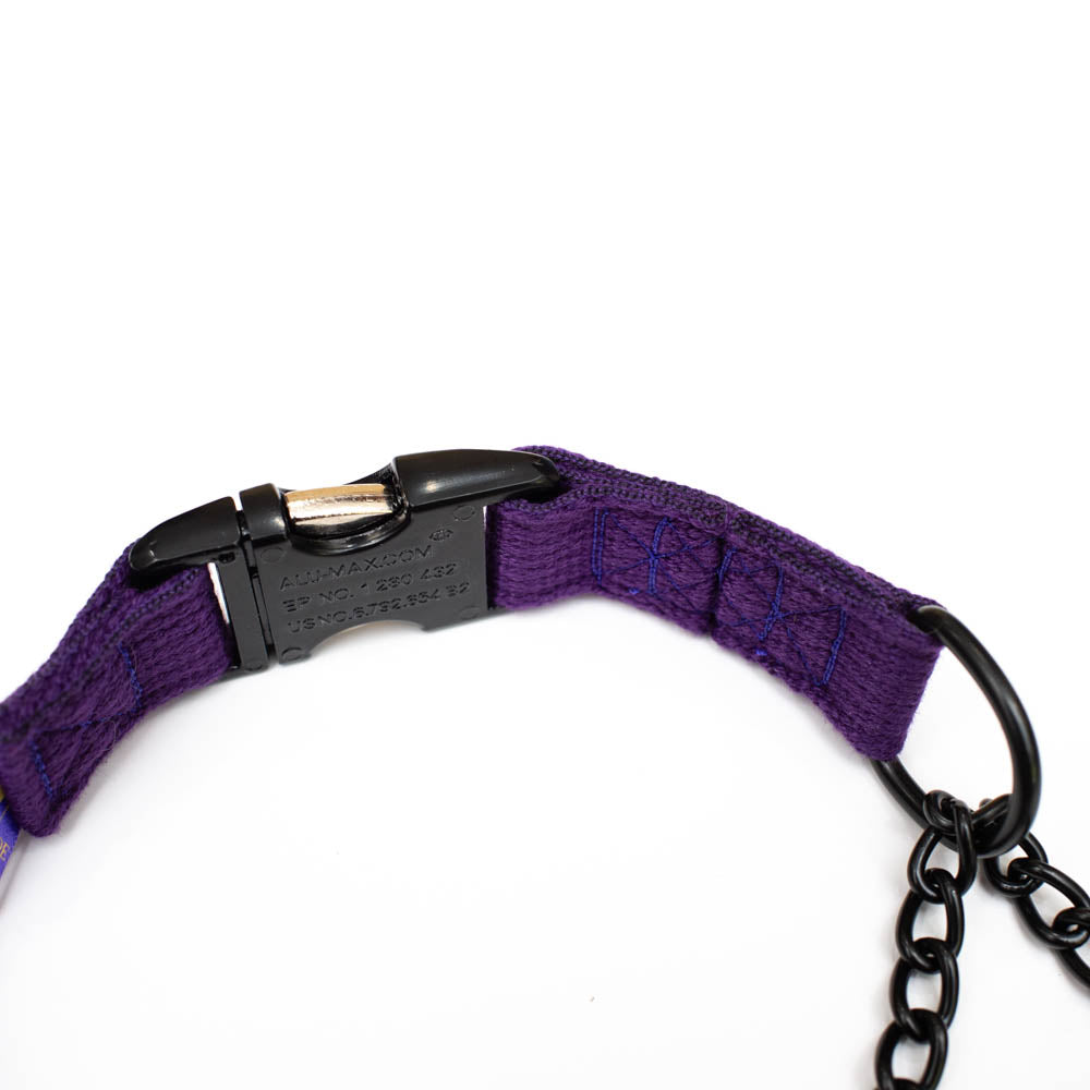 Martingale Collars with Buckle 25mm(1")