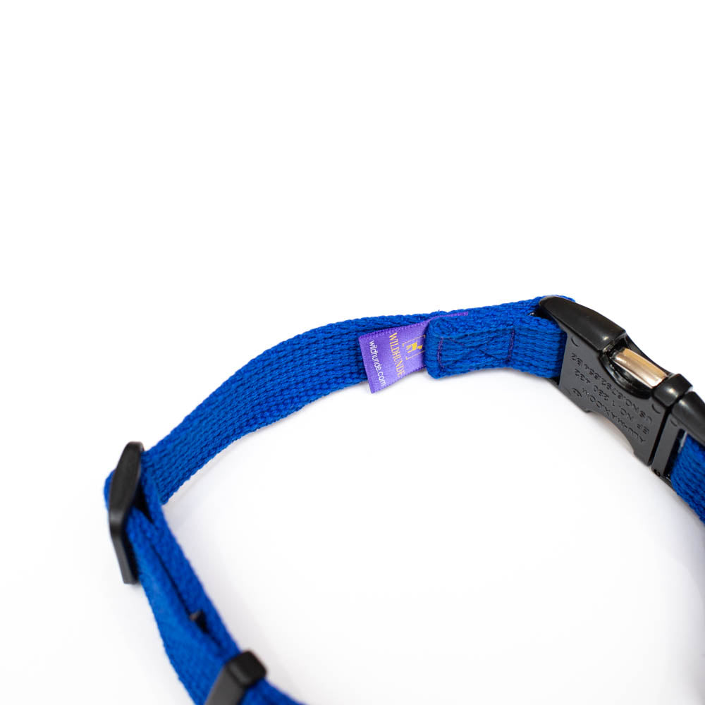 Martingale Collars with Buckle 25mm(1")