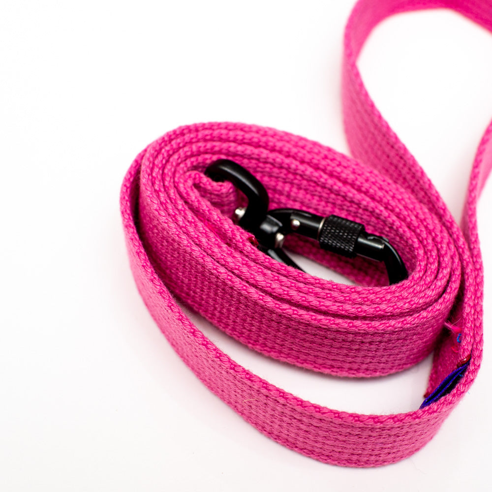 Cotton Webbing Leash 4ft (120cm/1.2m) with Locking Carabiner