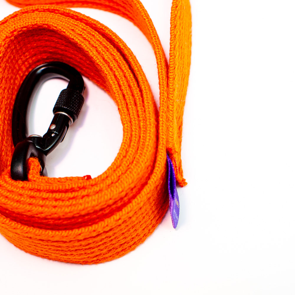 Cotton Webbing Leash 4ft (120cm/1.2m) with Locking Carabiner