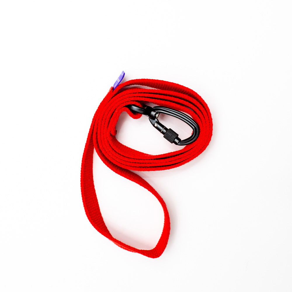 Cotton Webbing Leash 4ft (120cm/1.2m) with Locking Carabiner