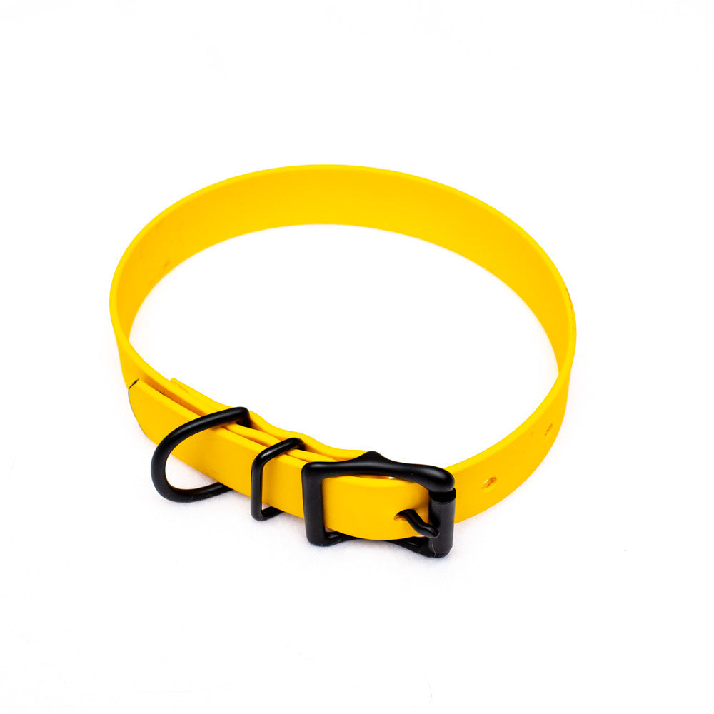 Biothane Collar 25mm(1" Wide)