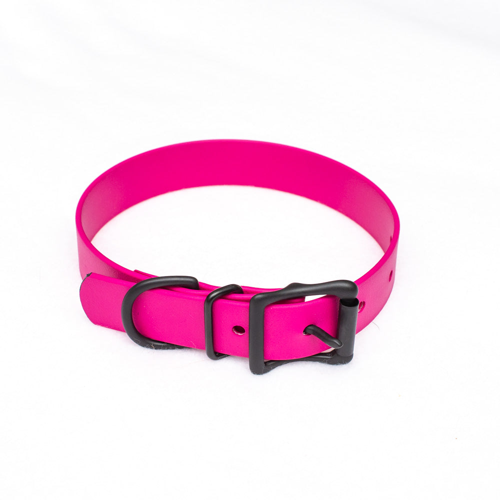 Biothane Collar 25mm(1" Wide)