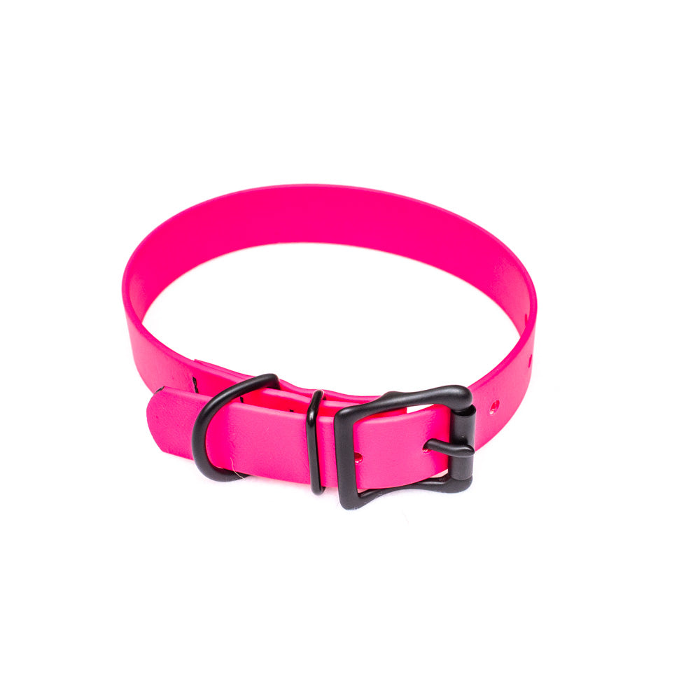 Biothane Collar 25mm(1" Wide)