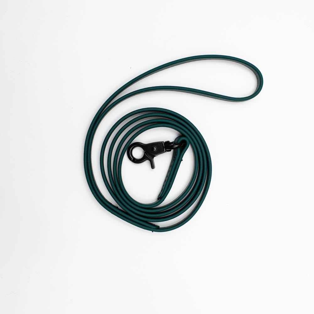 Biothane Microlight Leash 4ft(120cm/1.2m/9mm Wide)