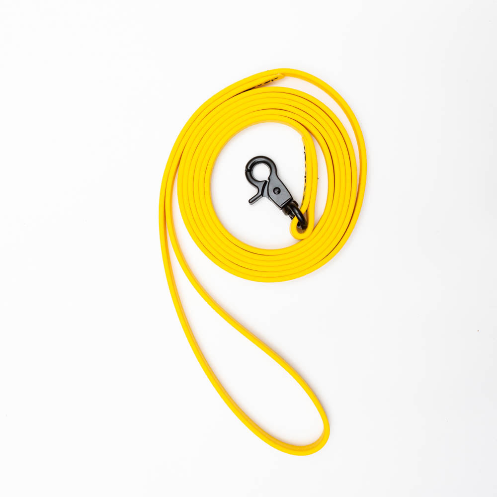 Biothane Microlight Leash 6ft(180cm/1.8m/9mm Wide)