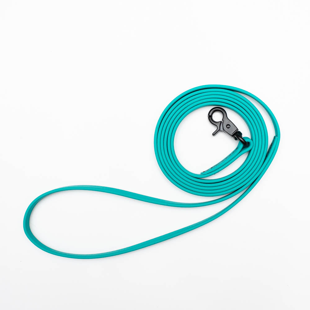 Biothane Microlight Leash 6ft(180cm/1.8m/9mm Wide)