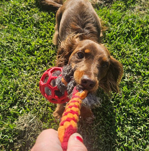 Zoom and Play Sheepskin Tug Ball