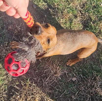 Zoom and Play Sheepskin Tug Ball