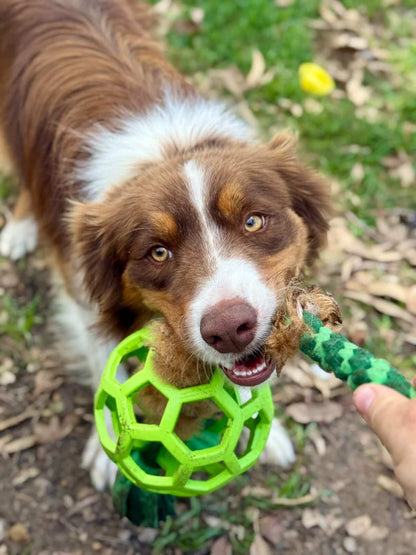 Zoom and Play Sheepskin Tug Ball