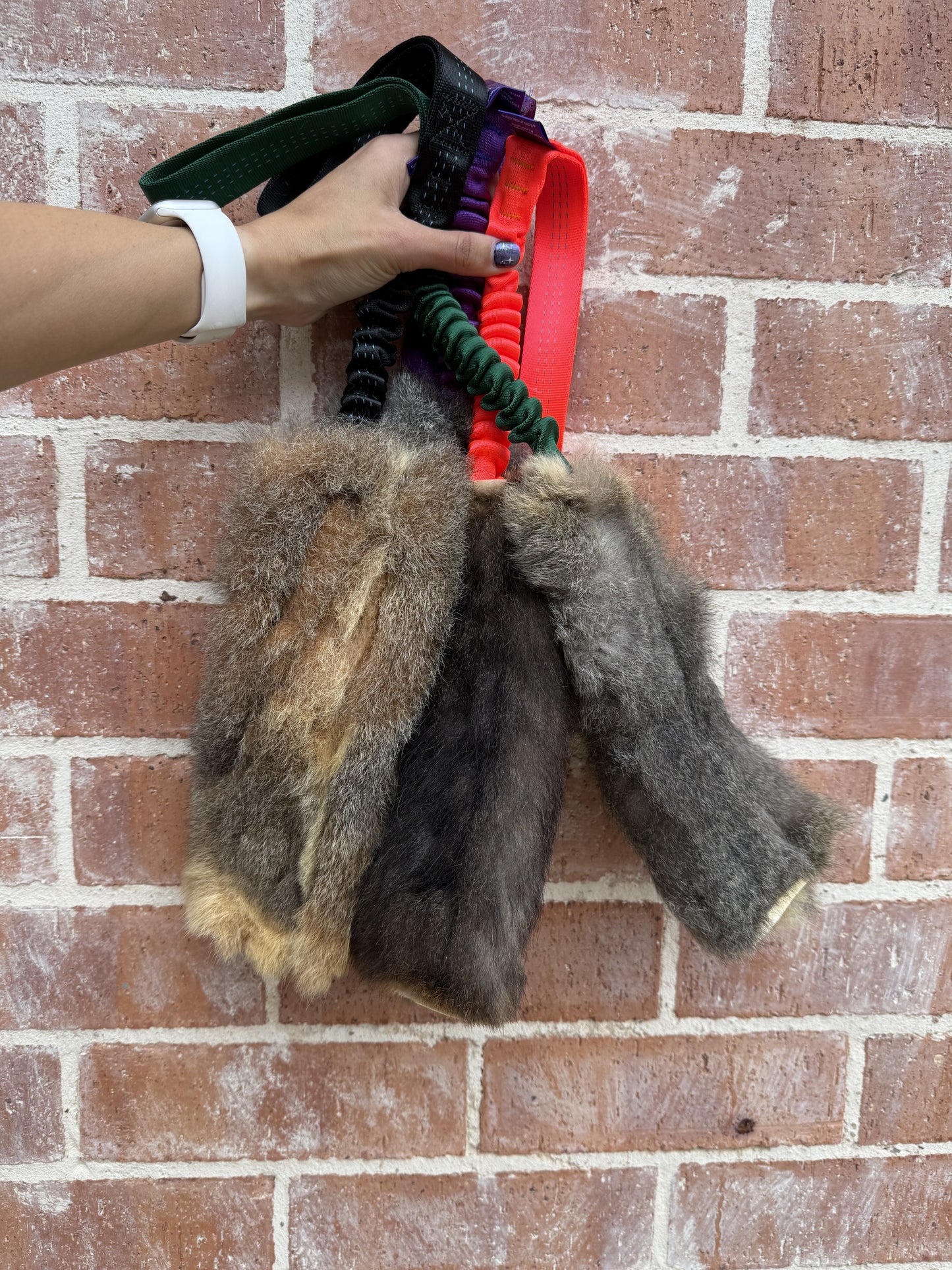 Wild-Tug Possum Bungee Tug Toy | Durable Natural Fur Dog Training Toy