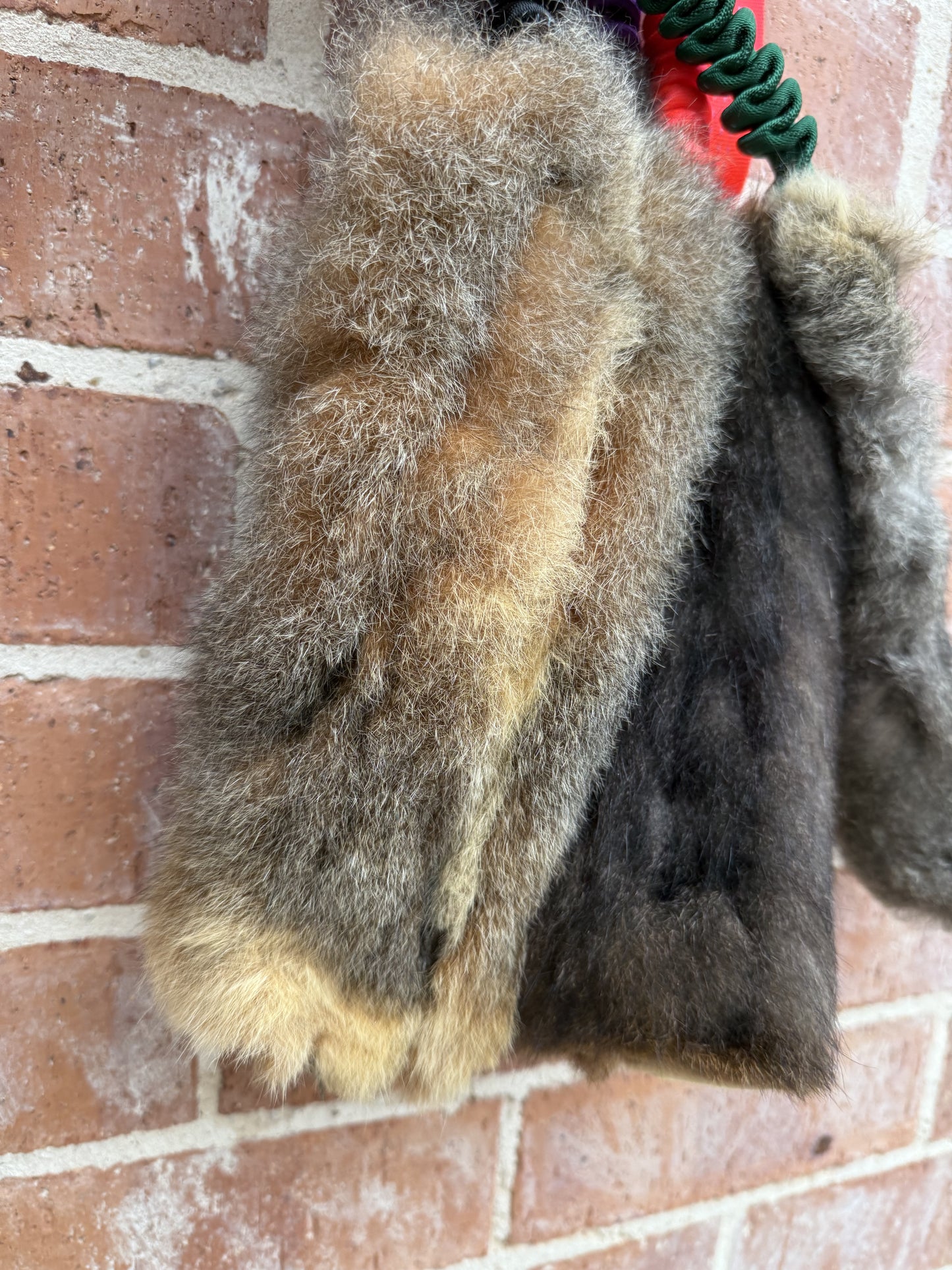 Wild-Tug Possum Bungee Tug Toy | Durable Natural Fur Dog Training Toy