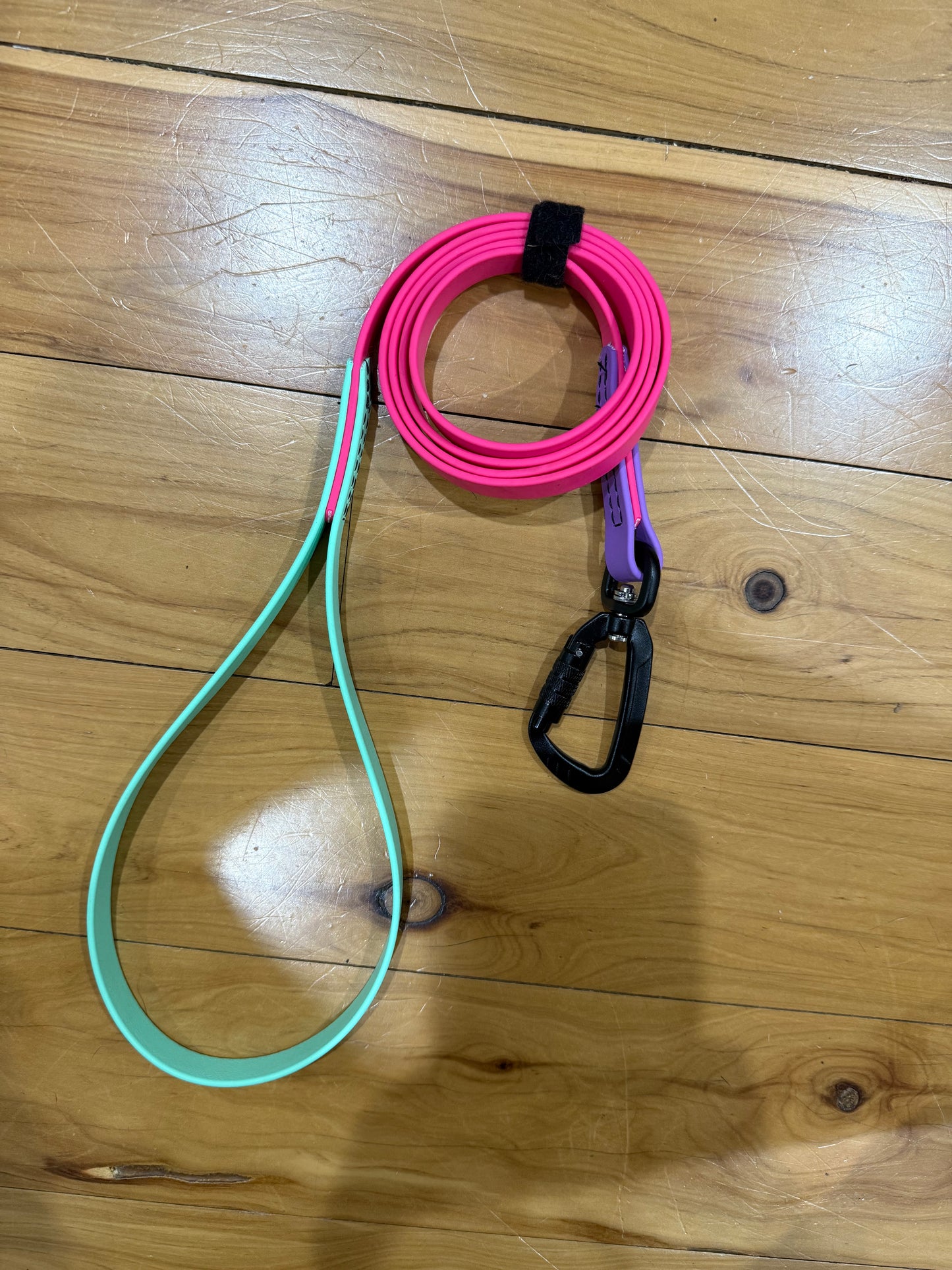 Biothane Special Edition 4ft 3 Tone Lead with Carabiner