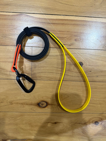 Biothane Special Edition 4ft 3 Tone Lead with Carabiner