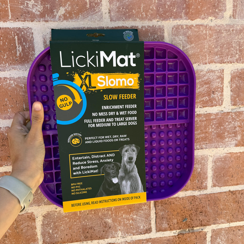 Mixed Assortment of Clearance Enrichment Toys