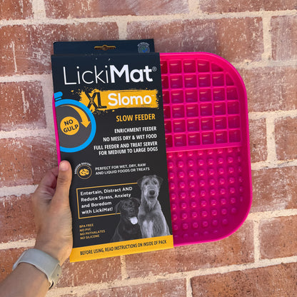 Mixed Assortment of Clearance Enrichment Toys