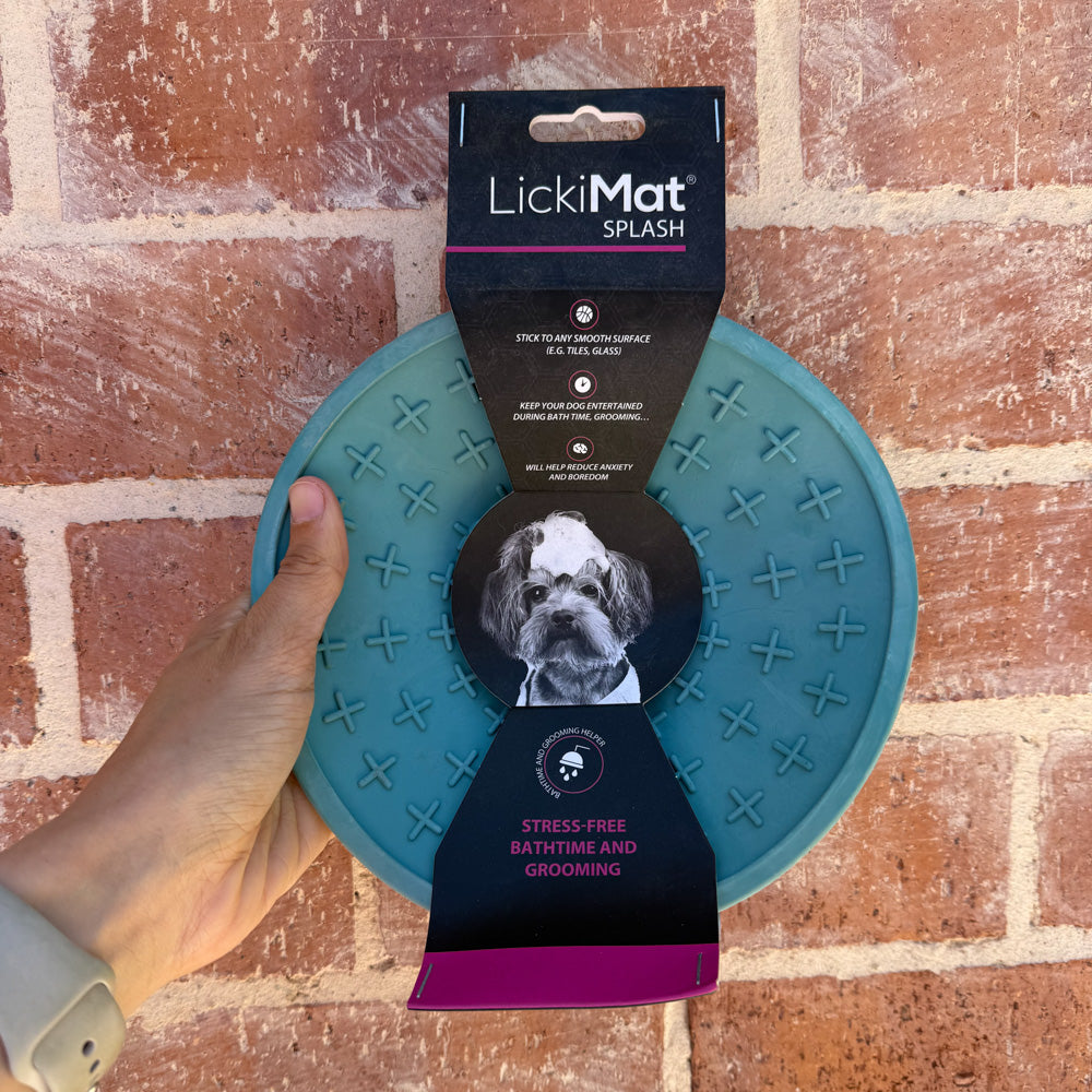 Mixed Assortment of Clearance Enrichment Toys