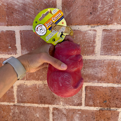 Mixed Assortment of Clearance Enrichment Toys