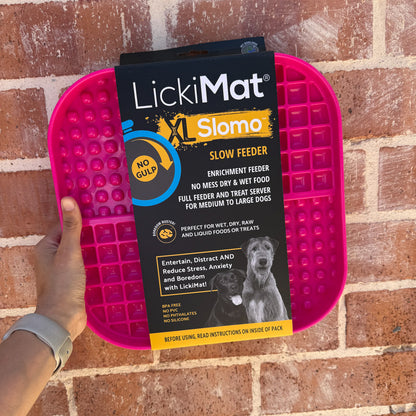 Mixed Assortment of Clearance Enrichment Toys