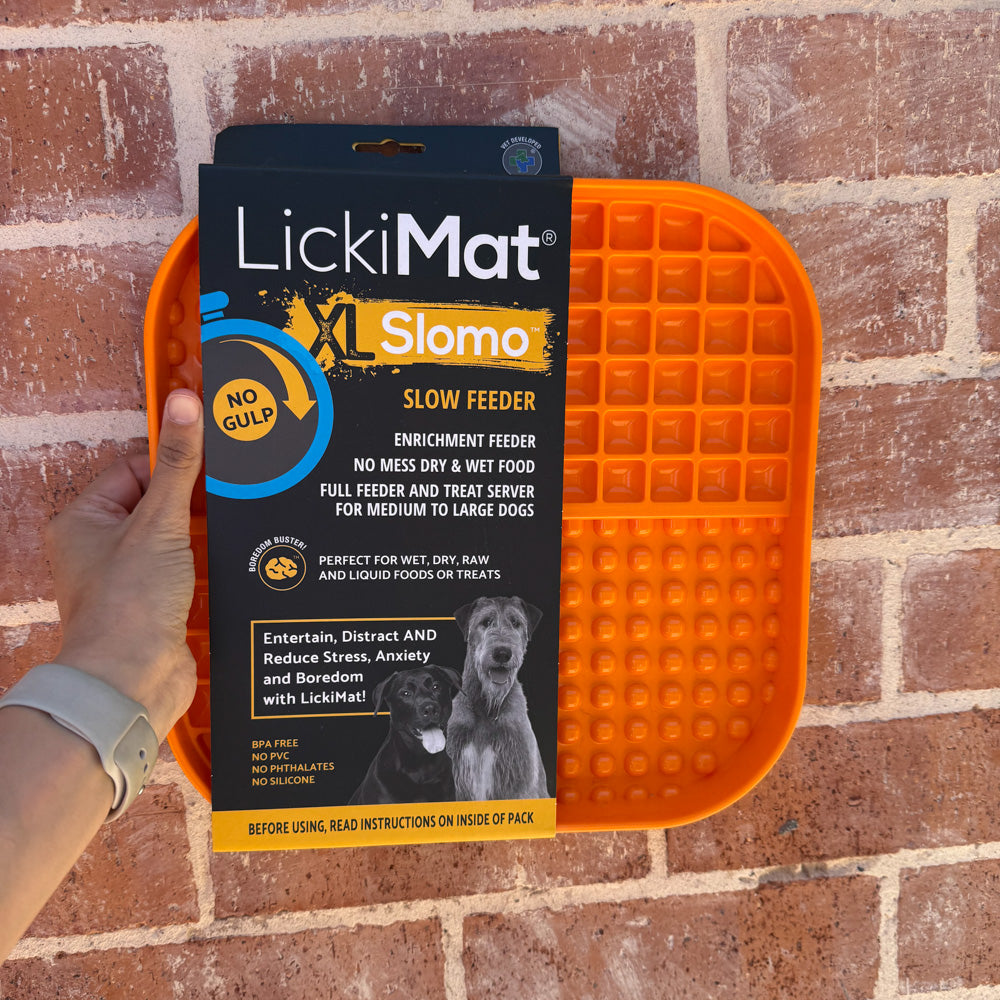 Mixed Assortment of Clearance Enrichment Toys