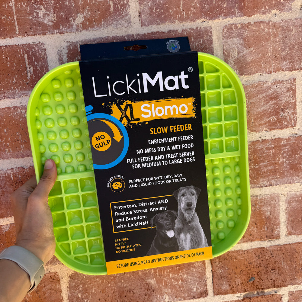 Mixed Assortment of Clearance Enrichment Toys