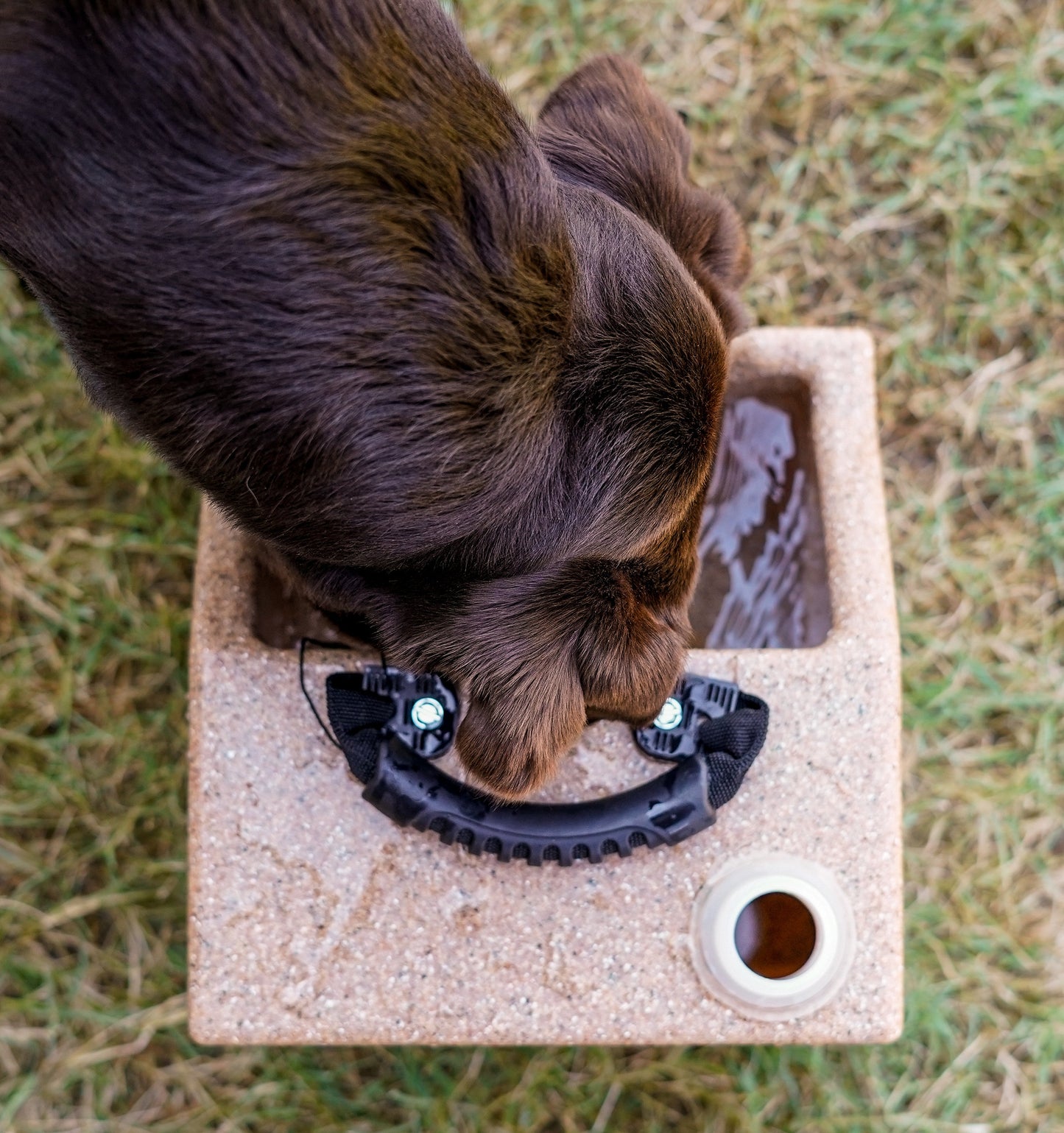 RuffLand® Water Hole