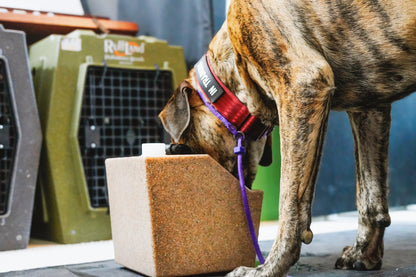 RuffLand® Water Hole