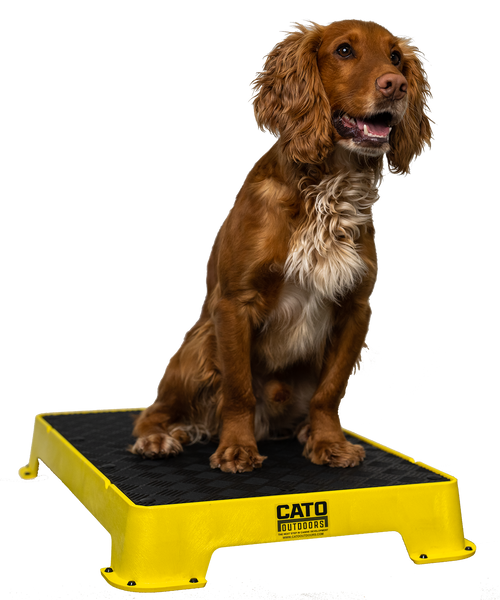 Cato Board Dog Training Platform & Place Board | Non-Slip & Durable