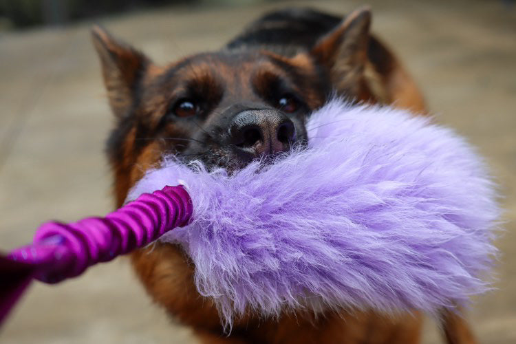 Wild Tug Ultra Fluff Sheepskin Bungee Toy Soft Dog Toy Wildhunde