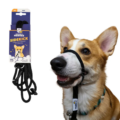 Wildhunde No-Pull K9 Lifeline Transitional Leash