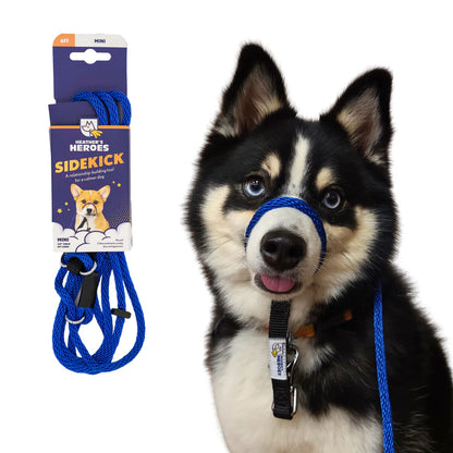 Wildhunde No-Pull K9 Lifeline Transitional Leash