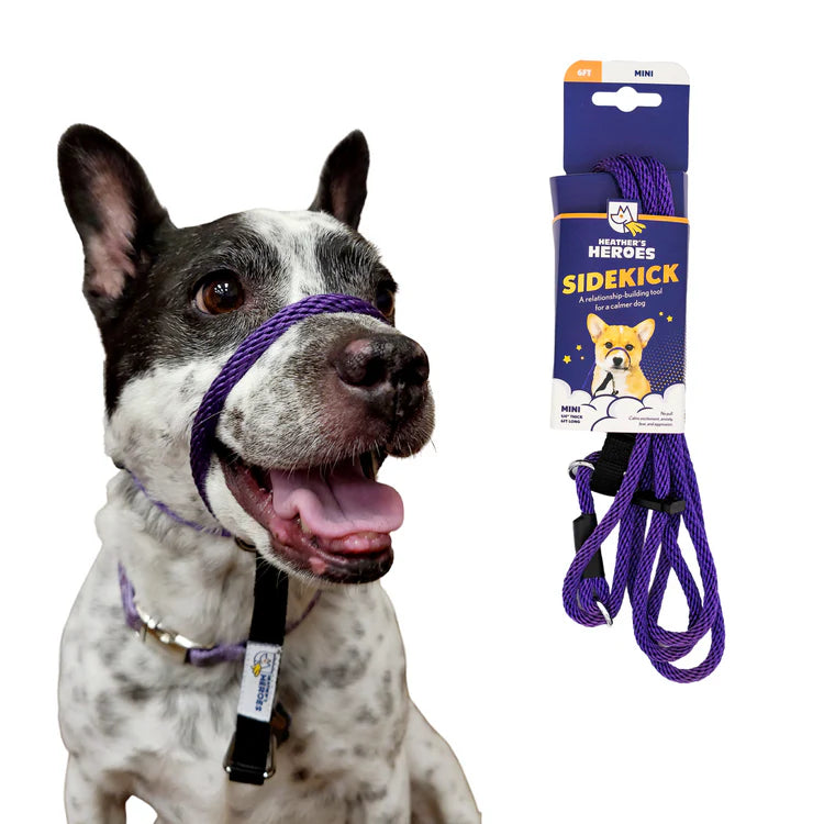 Wildhunde No-Pull K9 Lifeline Transitional Leash