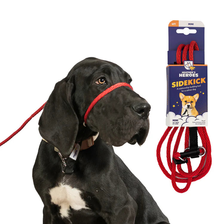 Wildhunde No-Pull K9 Lifeline Transitional Leash