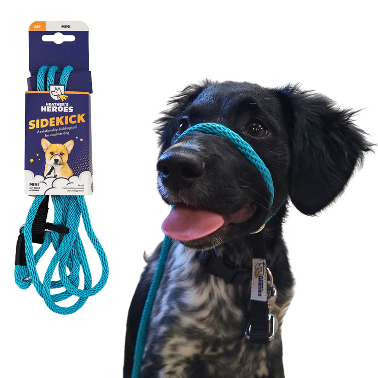 Wildhunde No-Pull K9 Lifeline Transitional Leash