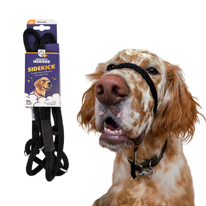 Wildhunde No-Pull K9 Lifeline Transitional Leash