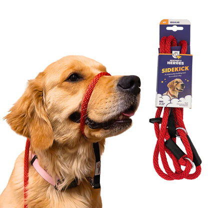 Wildhunde No-Pull K9 Lifeline Transitional Leash