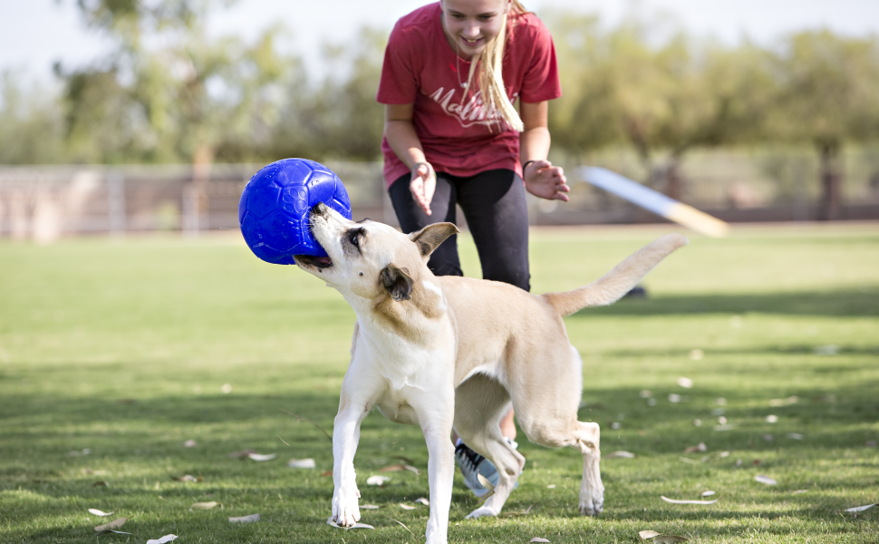 Jolly Pets Soccer Ball 8 in Orange