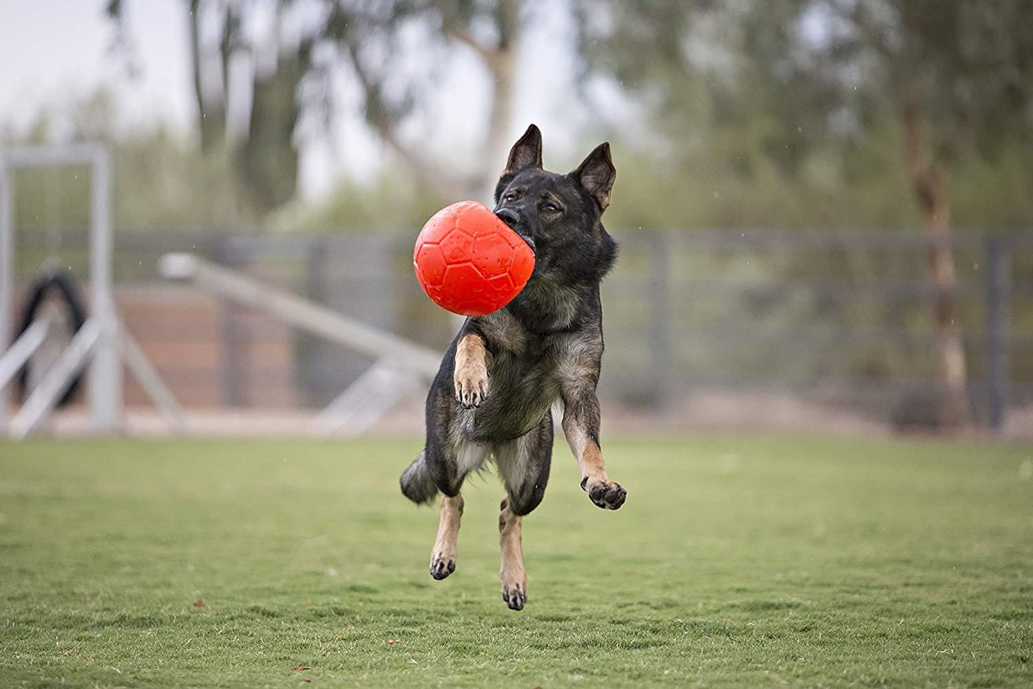 Jolly Pets Soccer Ball Fun Bouncy Play Ball Wildhunde