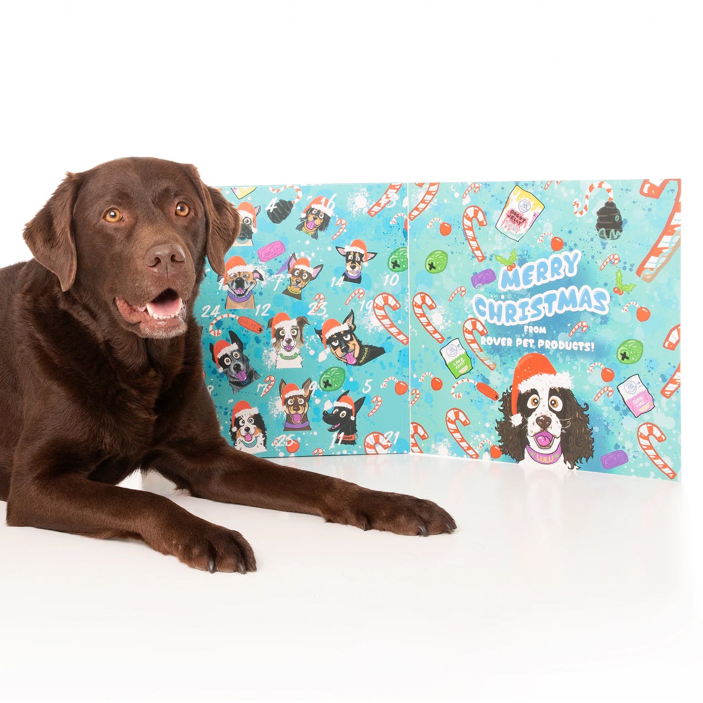 Rover Pet Products Christmas Advent Calendar 2022