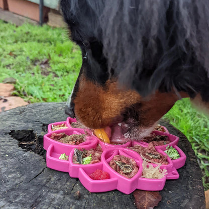 SodaPup Mandala Enrichment Tray