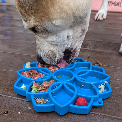 SodaPup Mandala Enrichment Tray