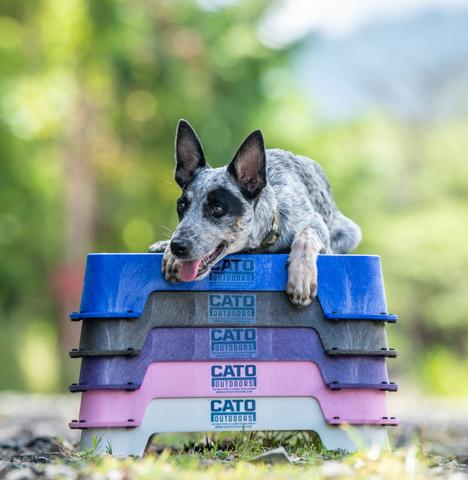 Cato Board Dog Training Place Board