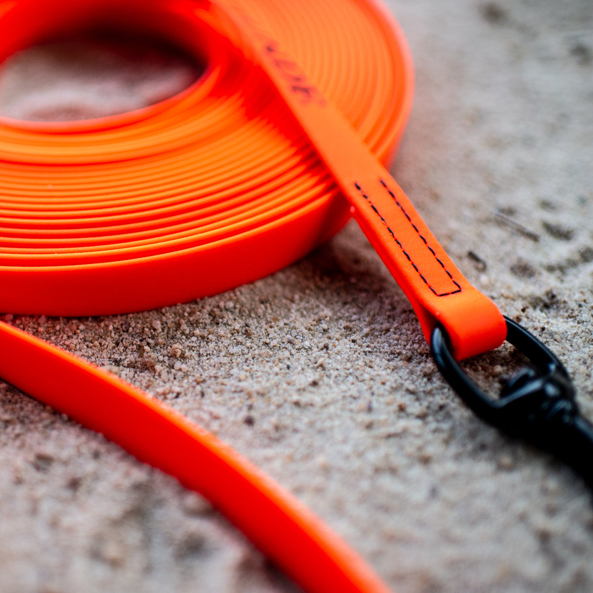 Biothane Line Biothane Long Line 10m – Wildhunde
