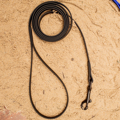 Biothane Leash 4ft