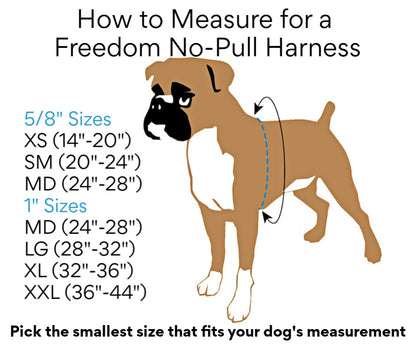 2 Hounds Freedom No-Pull Dog Harness