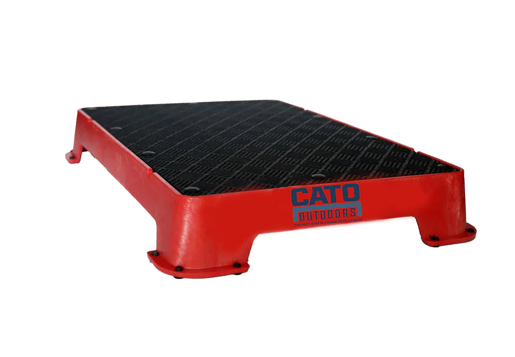 Cato Board Dog Training Place Board