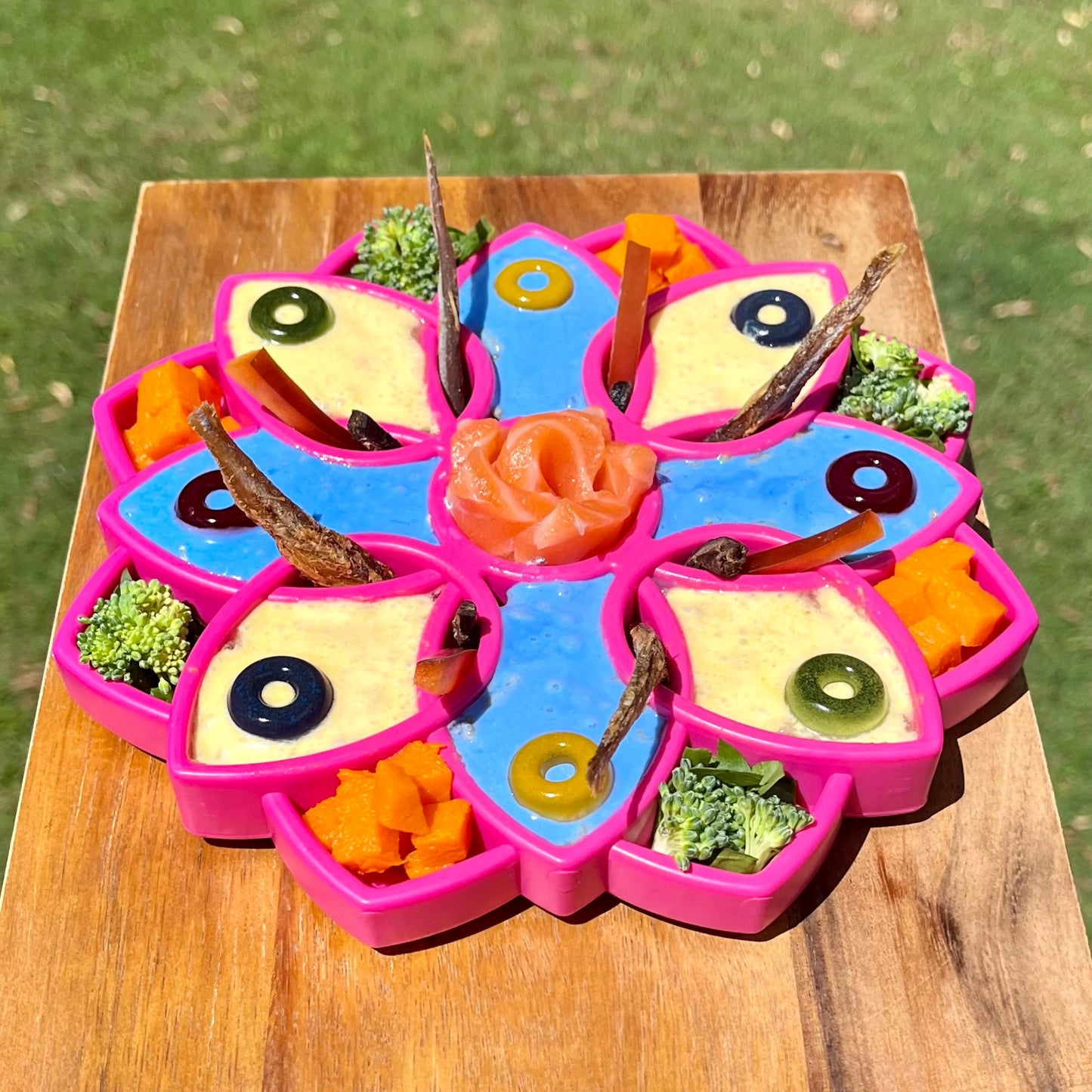 SodaPup Mandala Enrichment Tray