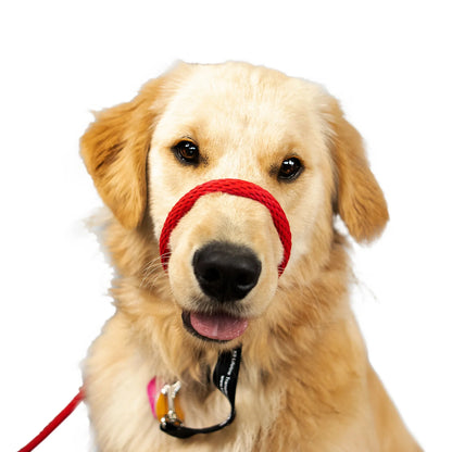 Wildhunde No-Pull K9 Lifeline Transitional Leash