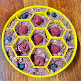 Sodapup Honeycomb Enrichment Bowl